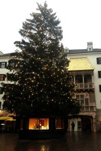 Golden-Roof