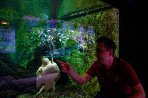 Aquarium de la Porte Doree