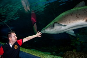 Turkuazoo Istanbul Akvaryum